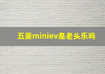 五菱miniev是老头乐吗