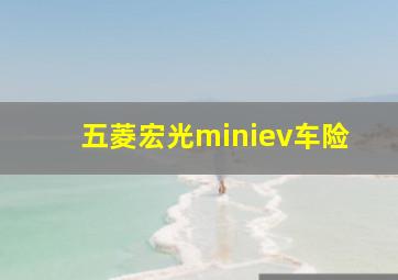 五菱宏光miniev车险