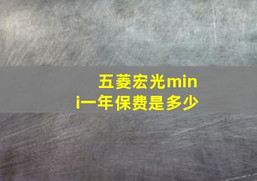 五菱宏光mini一年保费是多少