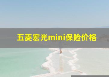 五菱宏光mini保险价格