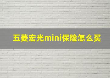 五菱宏光mini保险怎么买