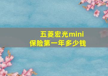 五菱宏光mini保险第一年多少钱