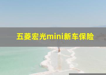 五菱宏光mini新车保险