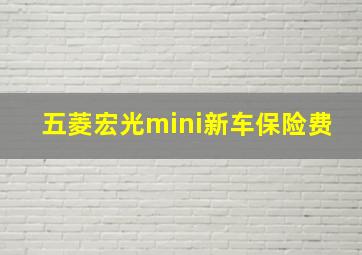 五菱宏光mini新车保险费