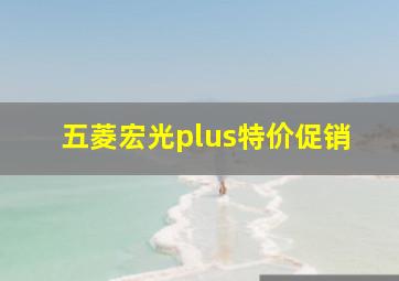 五菱宏光plus特价促销