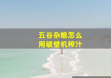 五谷杂粮怎么用破壁机榨汁