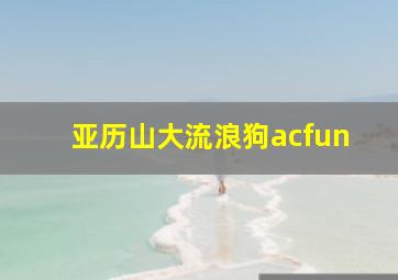 亚历山大流浪狗acfun