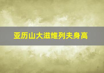 亚历山大滋维列夫身高