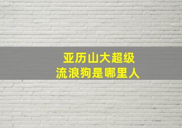 亚历山大超级流浪狗是哪里人