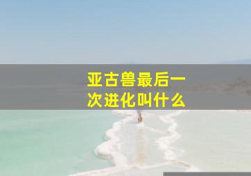 亚古兽最后一次进化叫什么