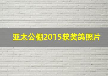 亚太公棚2015获奖鸽照片