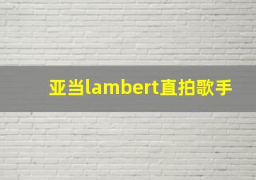 亚当lambert直拍歌手