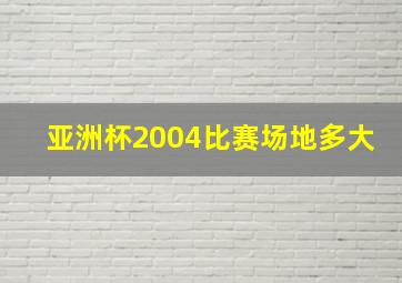 亚洲杯2004比赛场地多大