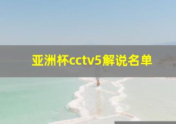 亚洲杯cctv5解说名单