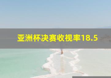 亚洲杯决赛收视率18.5