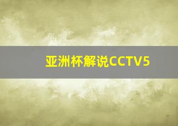 亚洲杯解说CCTV5