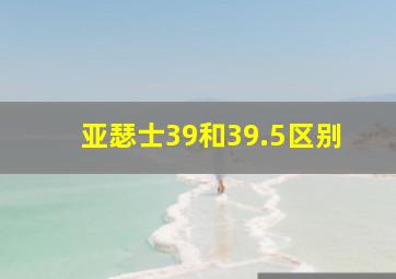 亚瑟士39和39.5区别