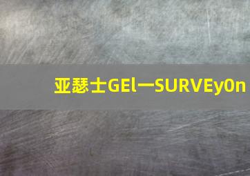 亚瑟士GEl一SURVEy0n