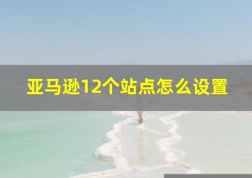 亚马逊12个站点怎么设置