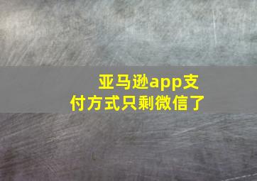 亚马逊app支付方式只剩微信了