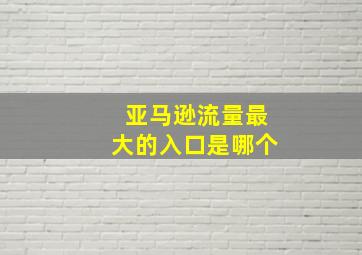 亚马逊流量最大的入口是哪个