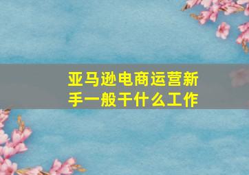 亚马逊电商运营新手一般干什么工作