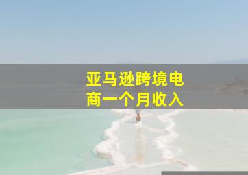 亚马逊跨境电商一个月收入