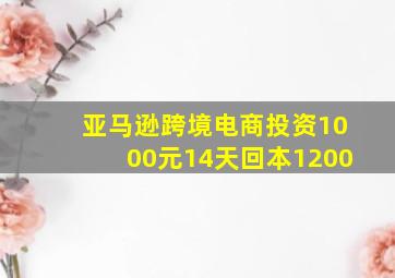 亚马逊跨境电商投资1000元14天回本1200