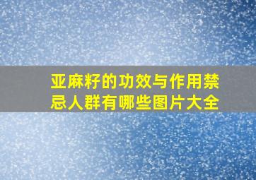 亚麻籽的功效与作用禁忌人群有哪些图片大全