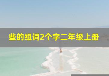 些的组词2个字二年级上册