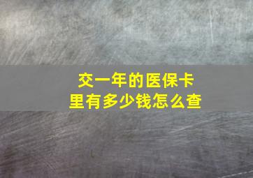 交一年的医保卡里有多少钱怎么查