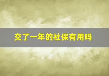 交了一年的社保有用吗