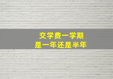 交学费一学期是一年还是半年