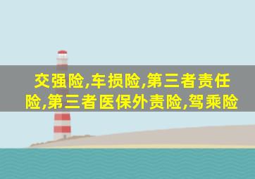 交强险,车损险,第三者责任险,第三者医保外责险,驾乘险