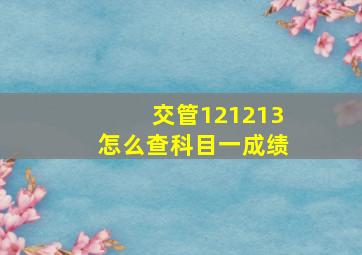 交管121213怎么查科目一成绩