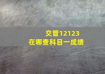 交管12123在哪查科目一成绩