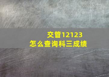 交管12123怎么查询科三成绩