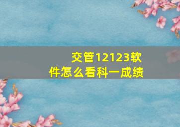 交管12123软件怎么看科一成绩