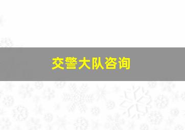 交警大队咨询