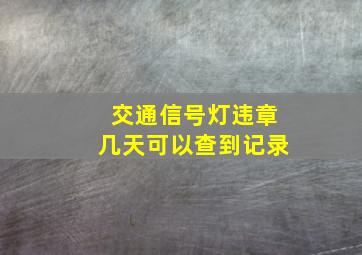 交通信号灯违章几天可以查到记录