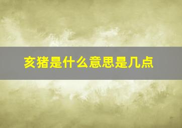 亥猪是什么意思是几点