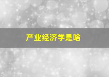 产业经济学是啥