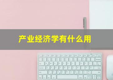 产业经济学有什么用