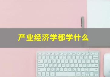 产业经济学都学什么