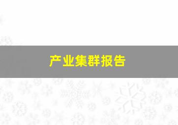 产业集群报告