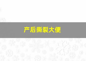 产后撕裂大便