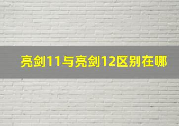 亮剑11与亮剑12区别在哪