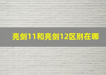 亮剑11和亮剑12区别在哪