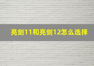 亮剑11和亮剑12怎么选择