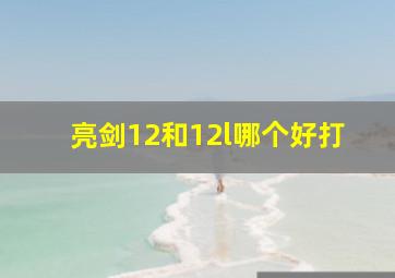 亮剑12和12l哪个好打